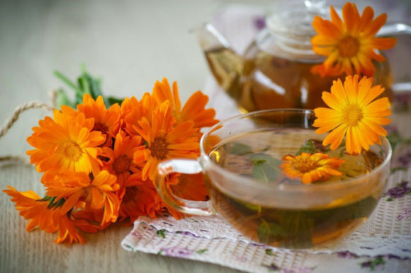 Chá para cólicas menstruais: Calêndula