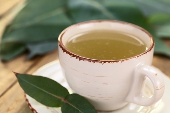 Chá de eucalipto