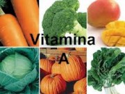 Para Que Serve a Vitamina A? Quais os Alimentos Ricos em Vitamina A.