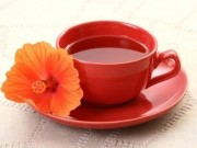 Chá de Hibisco Emagrece? Quais Benefícios?