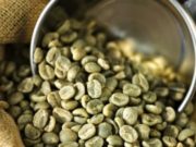 Café Verde Emagrece? Veja os benefícios